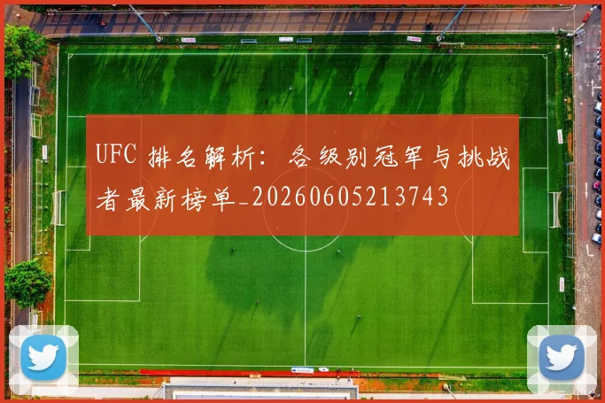 UFC 排名解析:各级别冠军与挑战者最新榜单_20260605213743