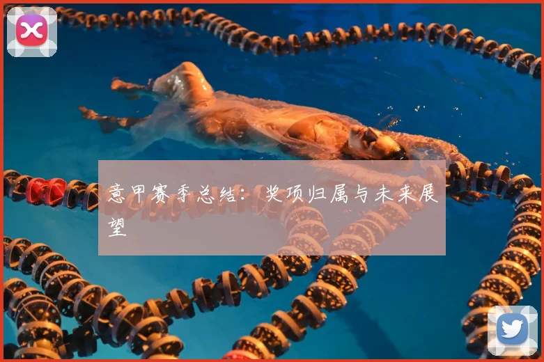 意甲赛季总结:奖项归属与未来展望
