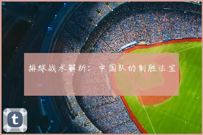排球战术解析:中国队的制胜法宝