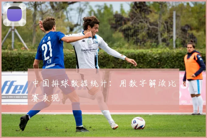 中国排球数据统计:用数字解读比赛表现