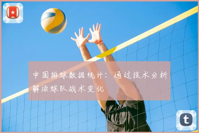 中国排球数据统计：通过技术分析解读球队战术变化