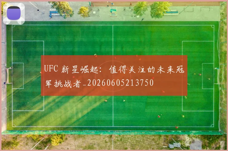 UFC 新星崛起：值得关注的未来冠军挑战者_20260605213750